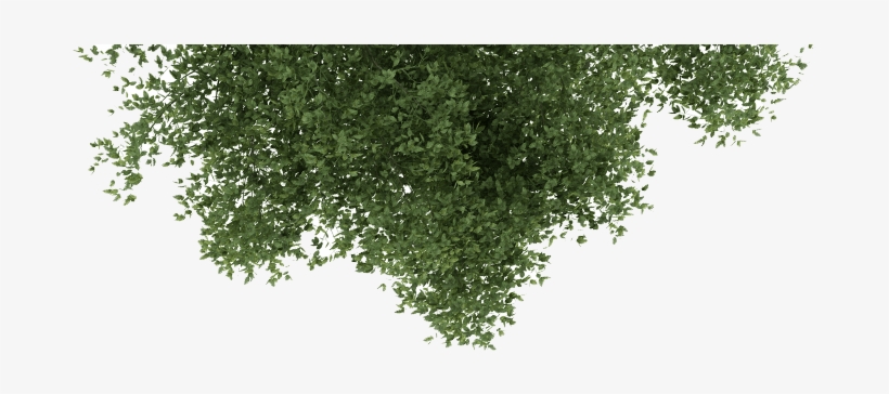 Affiliates - Tree And Grass Png, transparent png download