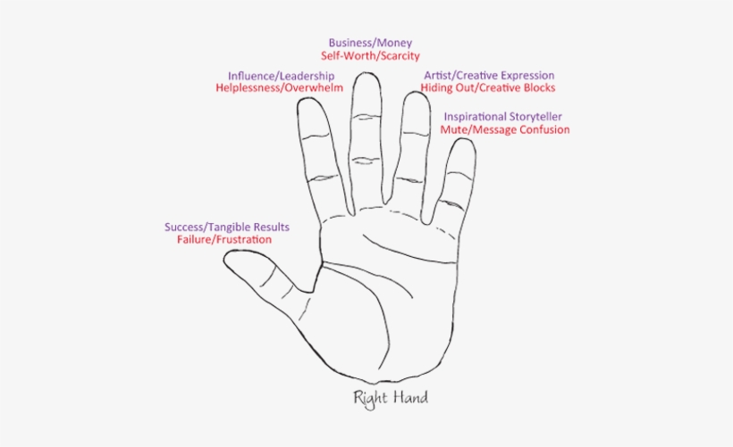 For Web Handprints 06 Revised - Drawing, transparent png download