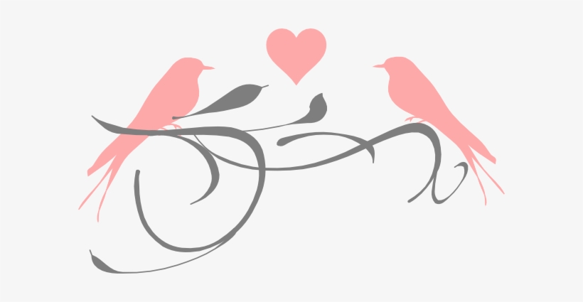 Png Love Birds Banner Free Stock - Love Birds Clipart Png, transparent png download