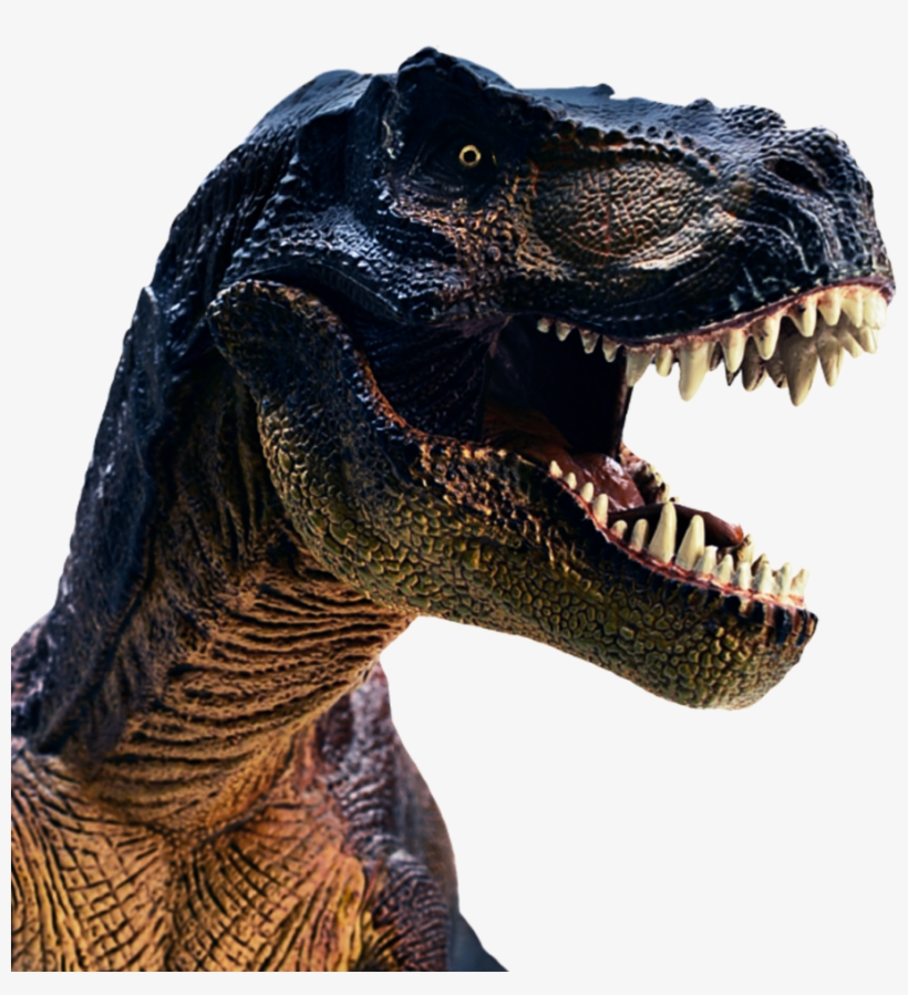 Tina The Tyrannosaurus Rex Chatbot Wants To Teach Your - T Rex Head Shot, transparent png download