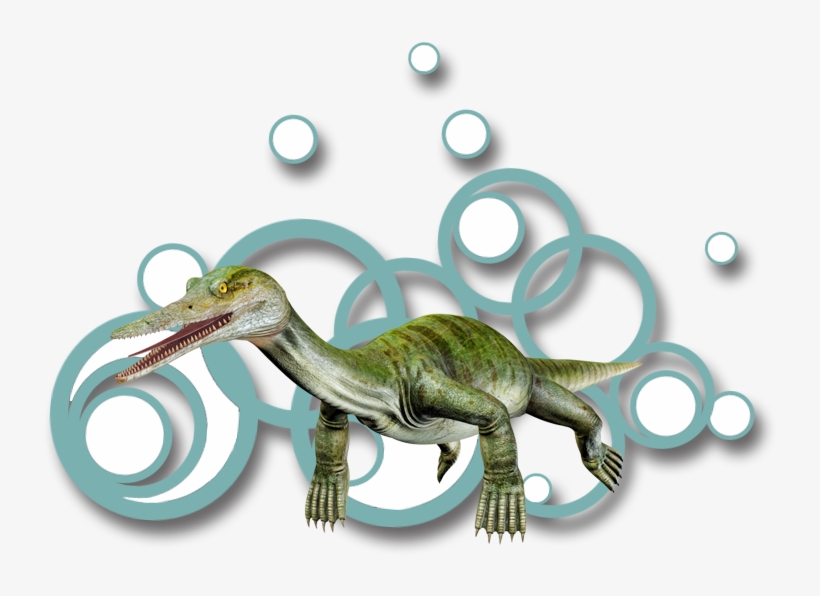 Anshunsaurus, transparent png download