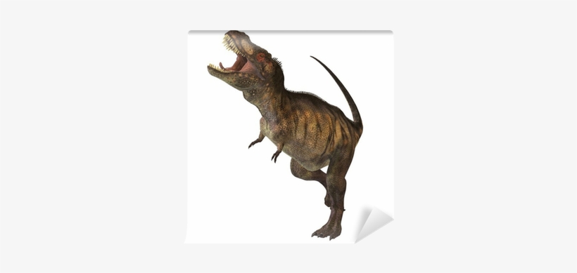 Tyrannosaurus, transparent png download