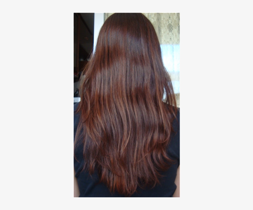 The Long Hair Community Discussion Boards - Lace Wig, transparent png download