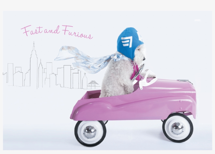 Oliver 03 Notecard - Antique Car, transparent png download