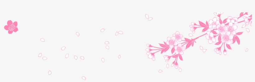 Cherry Blossoms In Shiga Prefecture, Japan - Cigars, transparent png download