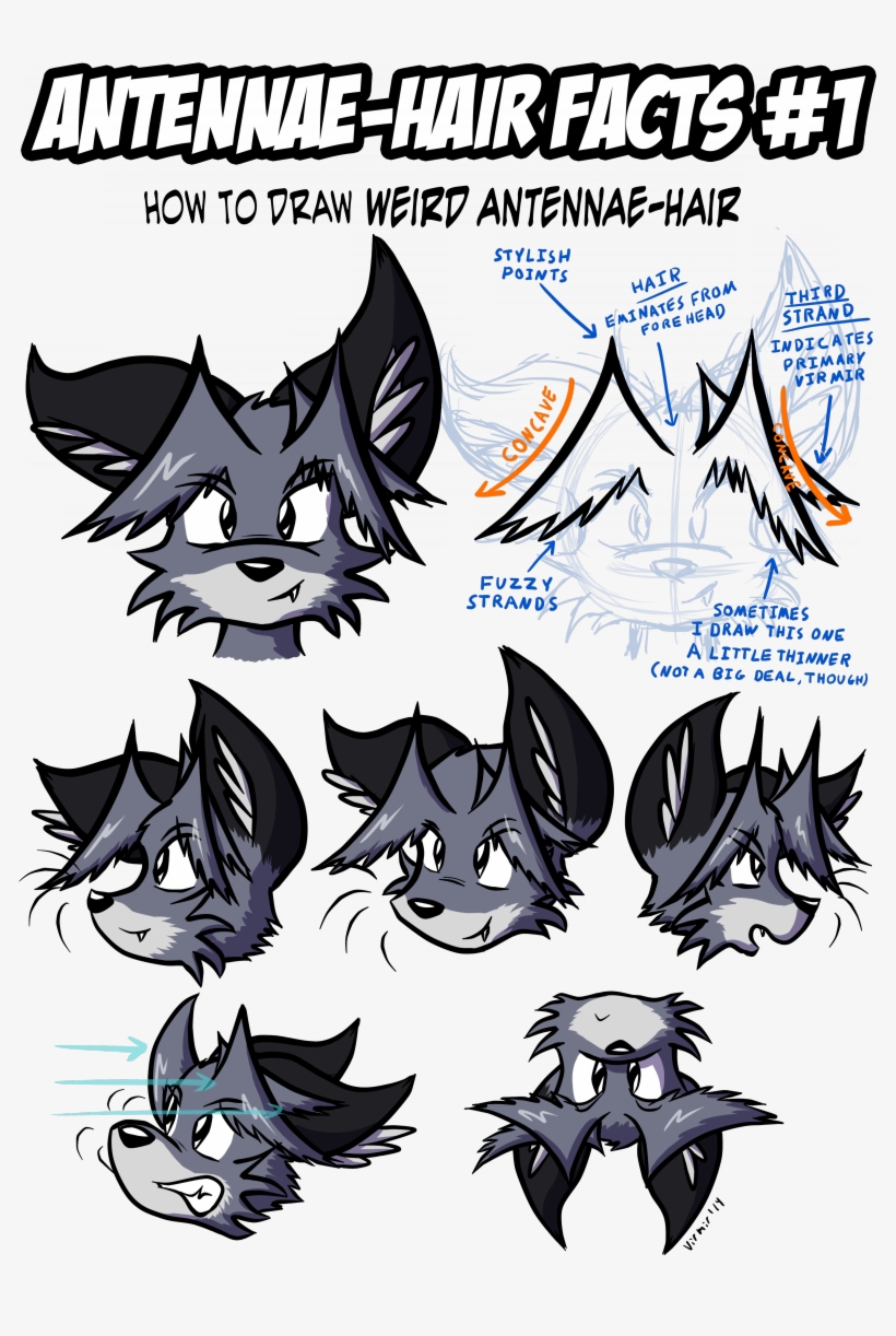 Antennae-hair Facts - Art, transparent png download