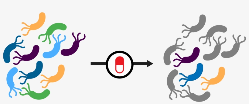 It Is Estimated That By 2050, 10 Million People Will, transparent png download
