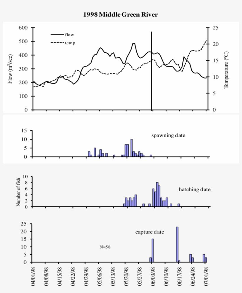 Capture And Otolith Age Estimated Hatching And Spawning, transparent png download