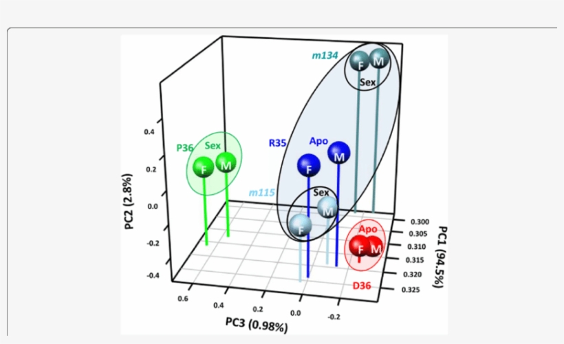Principal Component Analysis Of Sexual Pathway Genes, transparent png download