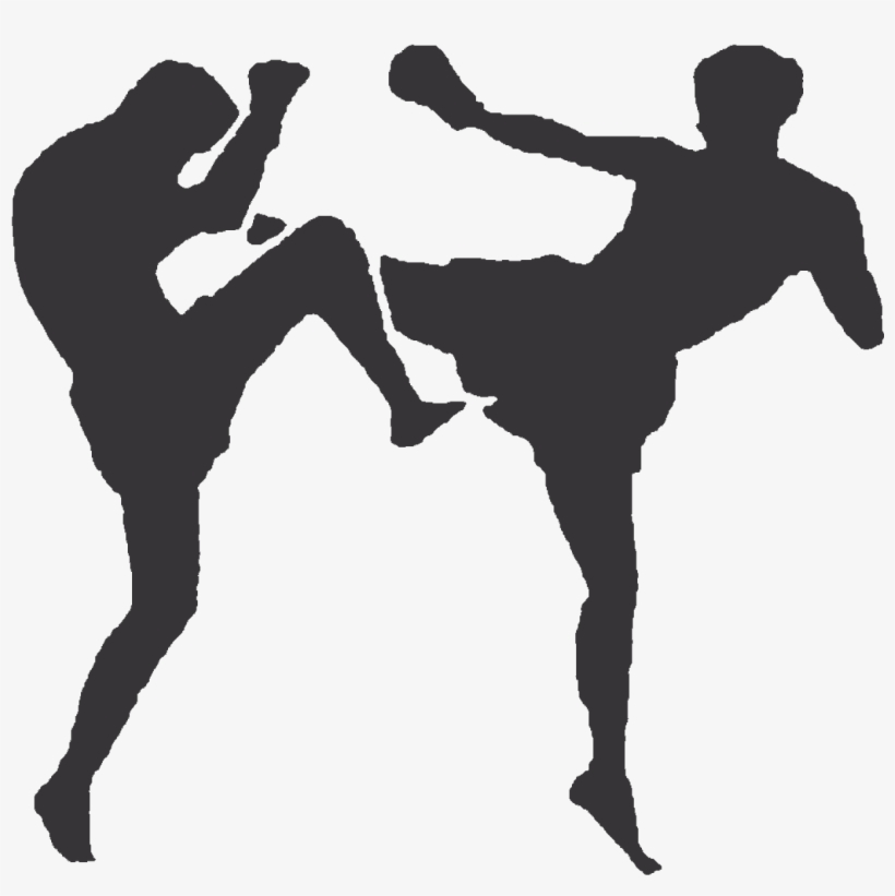 Kickboxing Png, transparent png download