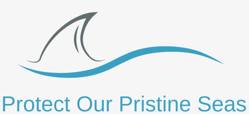 Sealife Our Sea Creature Of The Week Changes Every, transparent png download