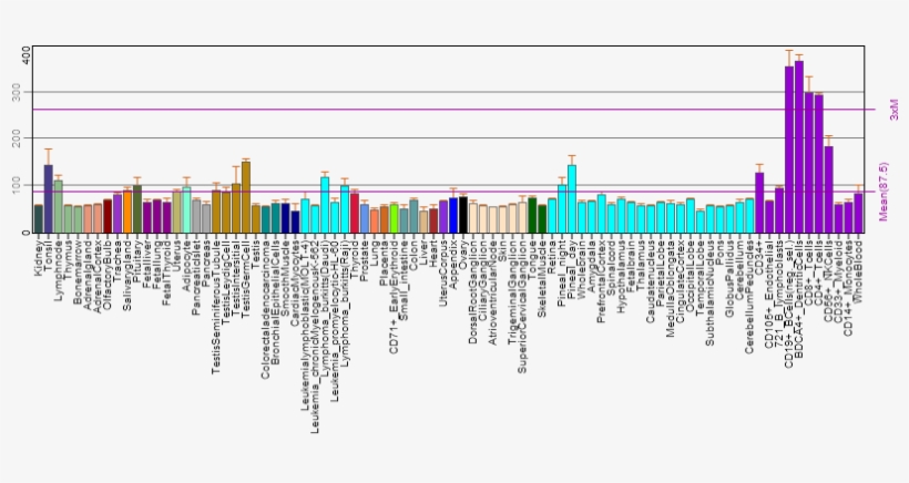 Human Fam214a Biogps Gene Expression Profile, transparent png download