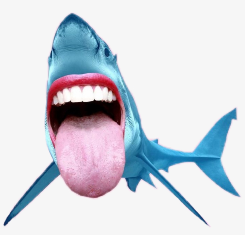 Shark Tiburon Sea Mouth Boca Tongue Lengua Fun Creative, transparent png download