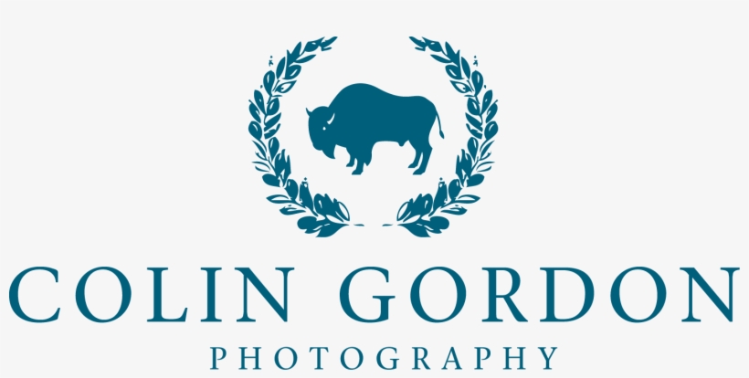 Photographer Logo Png, transparent png download