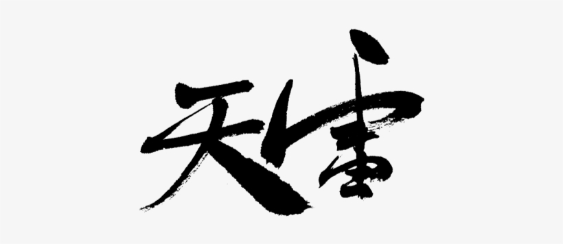 Brand：rainbow Chicks Tel：0571, transparent png download