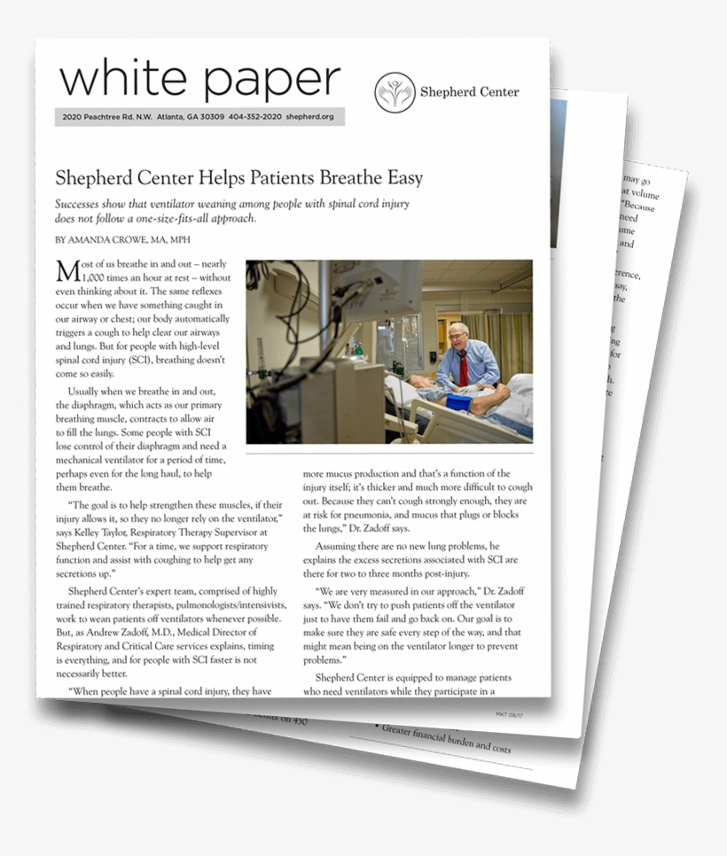 Download White Paper, transparent png download