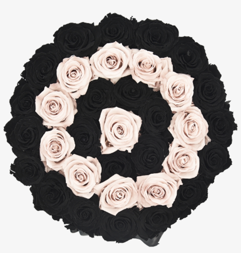 Orb Grand New Sand And Black Rows Roses, transparent png download