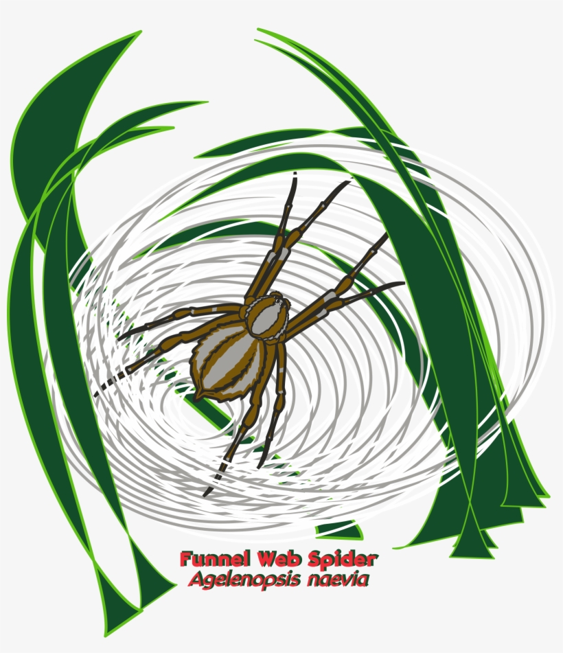 Year Of The Spider State Parks Png Spruce Fir Moss, transparent png download