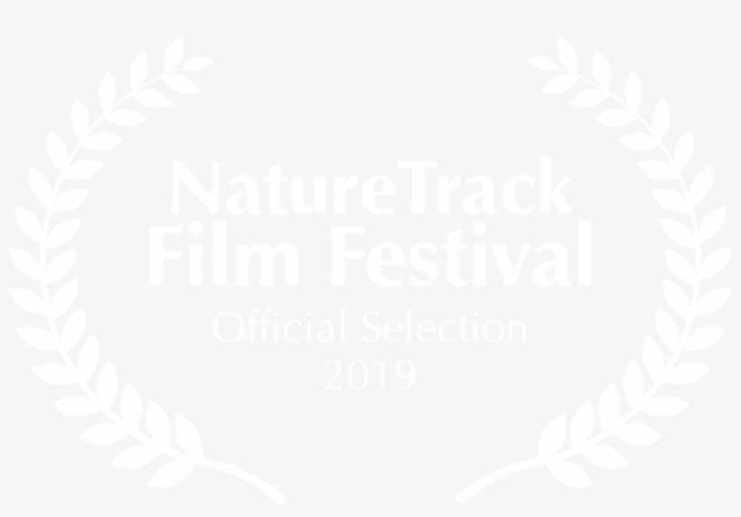 2019film Laurels White, transparent png download