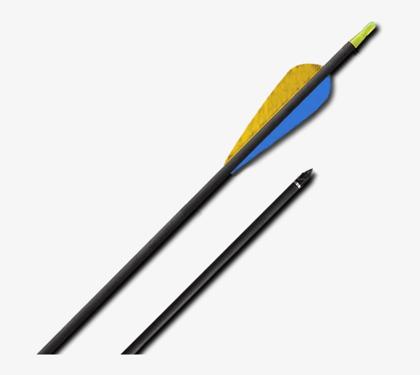 Carbon Arrows 30" With Nature Vanes, transparent png download