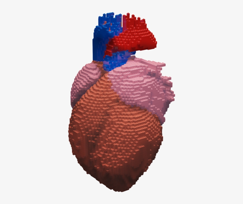 Heart Attack Symptoms Icon, transparent png download