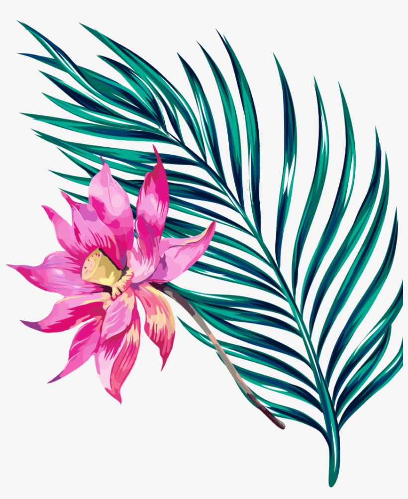 7.png, transparent png download