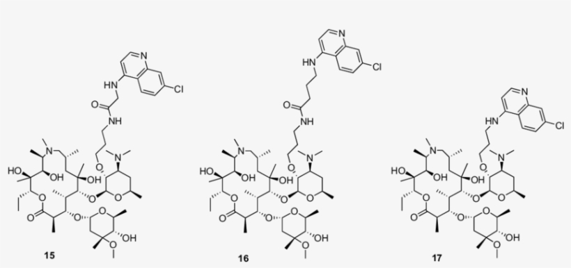 Representatives Of C 3' Azalide Chloroquinoline Hybrid, transparent png download