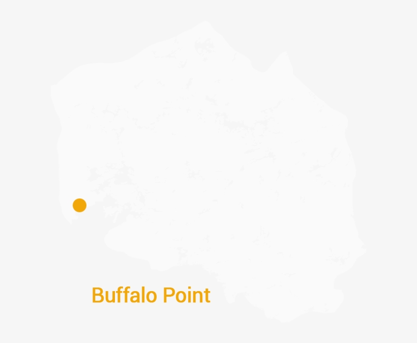 Buffalo-point, transparent png download