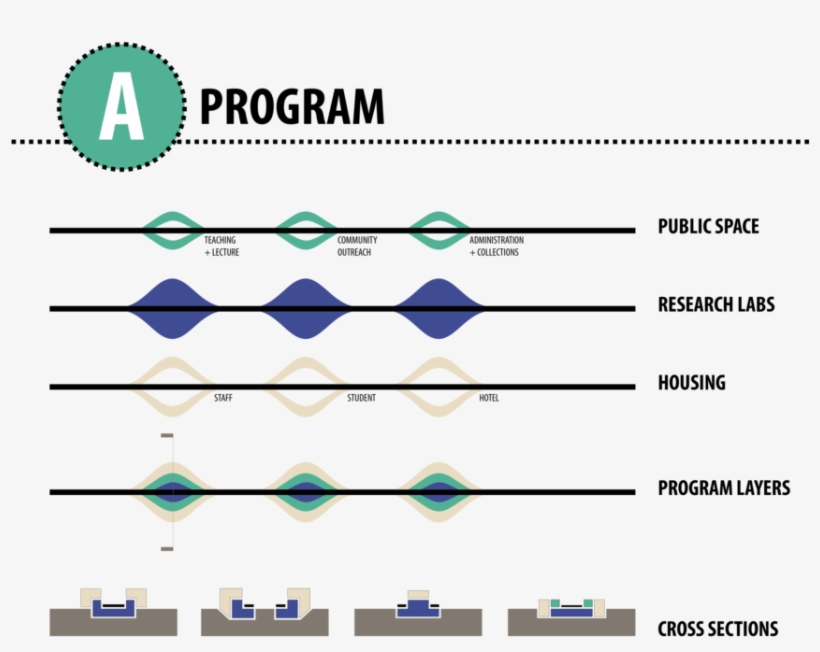 Pier Regeneration Begins With The Typology Of A Public, transparent png download
