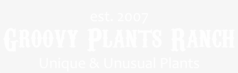 Groovy Plants Ranch Store, transparent png download