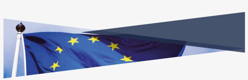 International Newsletter Of Hatvp January, transparent png download