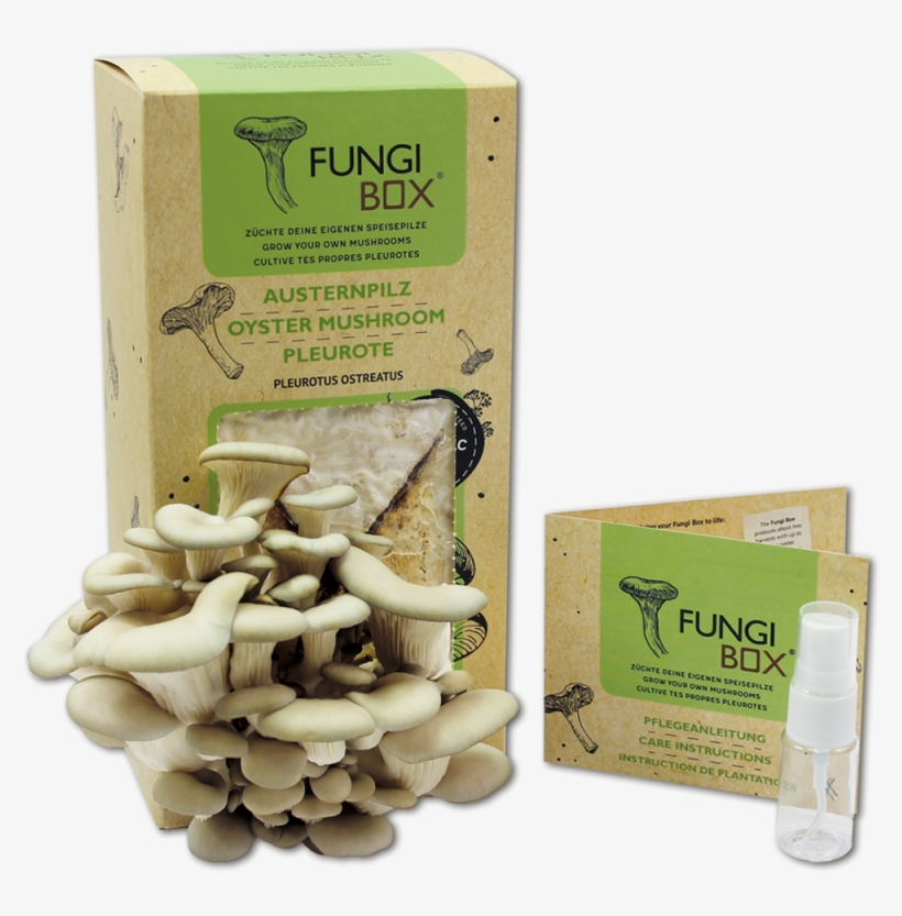 Fungus Png, transparent png download