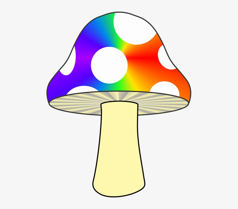 Mushroom Nature Colorful Mushroom Rainbow Psychedelia, transparent png download