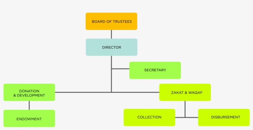 Organisation Chart, transparent png download
