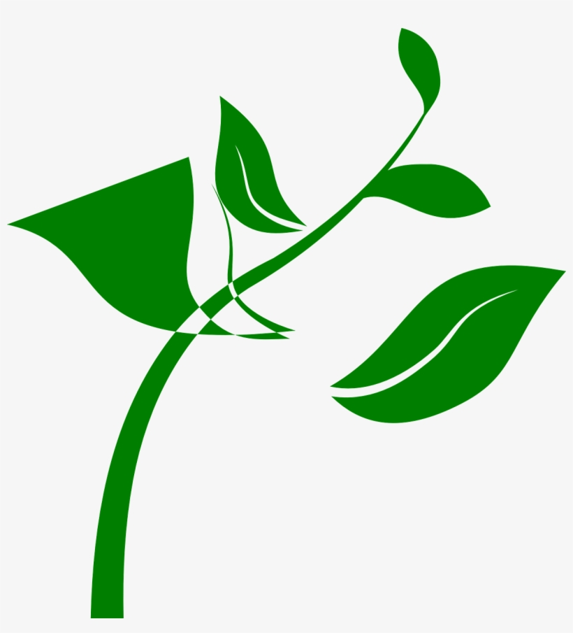 Floral Ornament Png, transparent png download