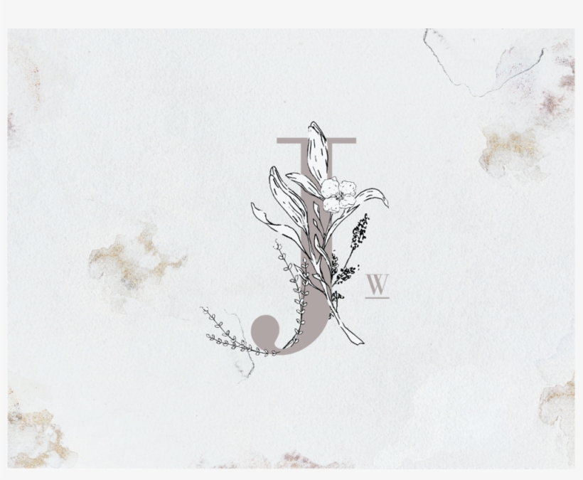 2@3x, transparent png download
