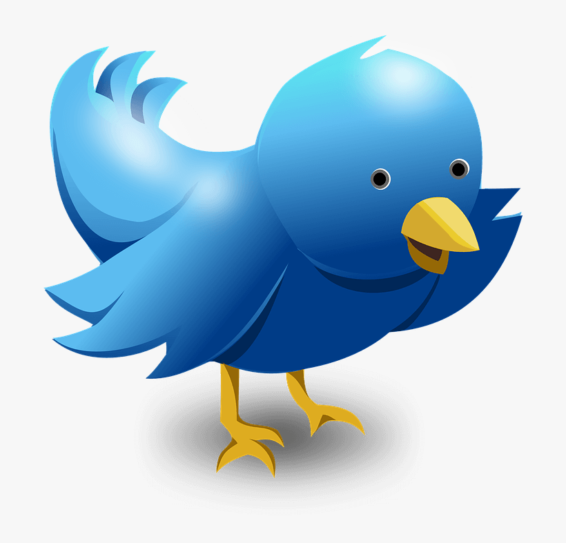 How To Use Twitter To Get More Tourist Bookings For, transparent png download