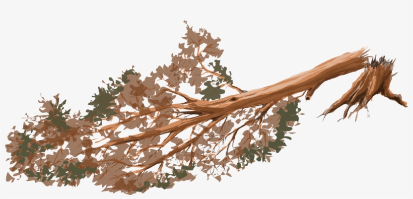 Überzeugende Resultate Zu Erzielen, transparent png download