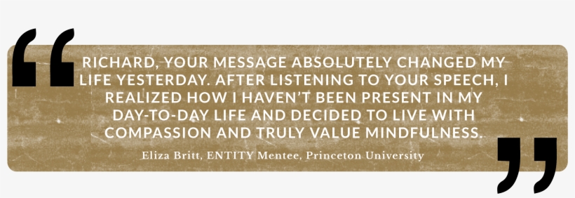 Entity Testimonial, transparent png download