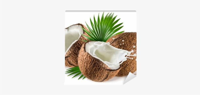 Coconuts With Milk Splash And Leaf On White Background - Z Natural Foods Coconut Milk Powder - Organic 5 Lbs, transparent png download