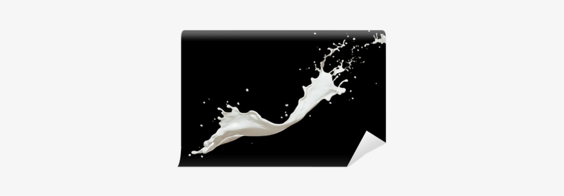 Splash Latte, transparent png download