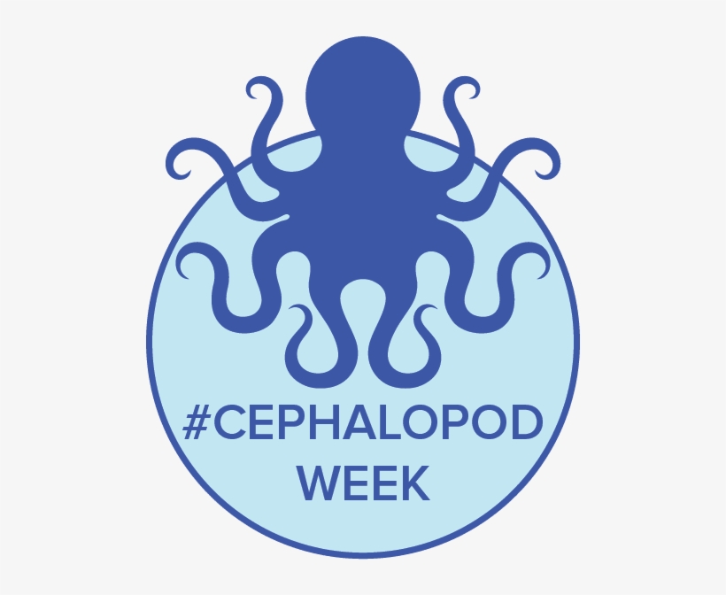 Cephalopod Movie Night- Events - Cephalopod Week, transparent png download