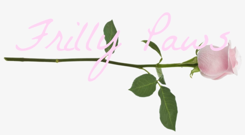 The Gallery For > Milk Glass Splash Png Milk Glass - Roses Floral Theme - Tote Bags, transparent png download