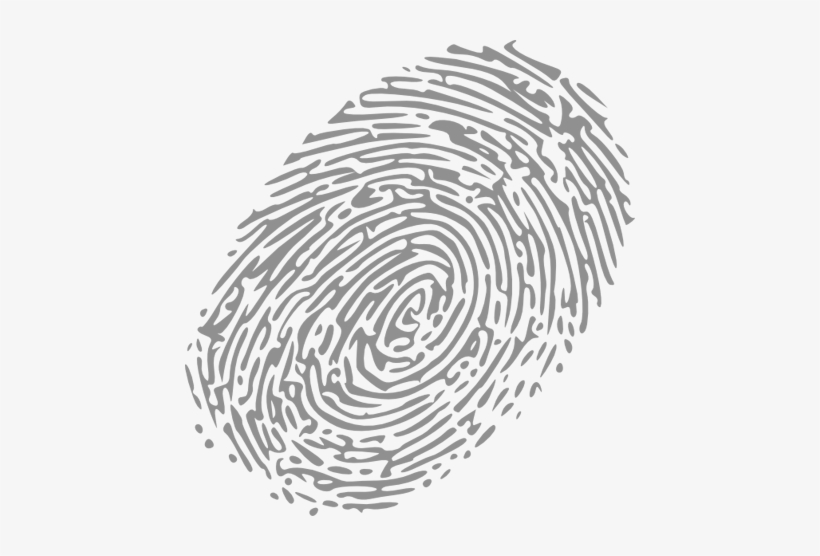 Png Freeuse Biometric Systems By Using The Tcpipbased - Love Rules Joanna Coles, transparent png download