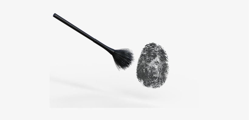 Fingerprint Brush Identity Search Determin - Fingerprint Brush With Transparent Background, transparent png download
