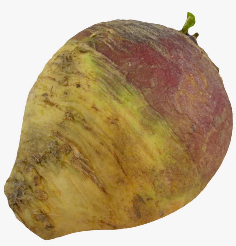 Turnip Rutabaga Root Png Image - Rutabaga Png, transparent png download
