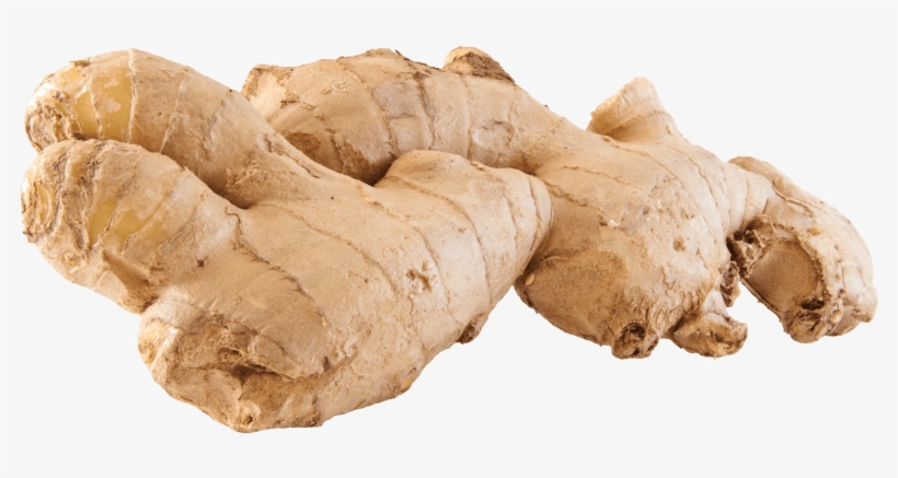 Clip Art Images - Ginger Png, transparent png download