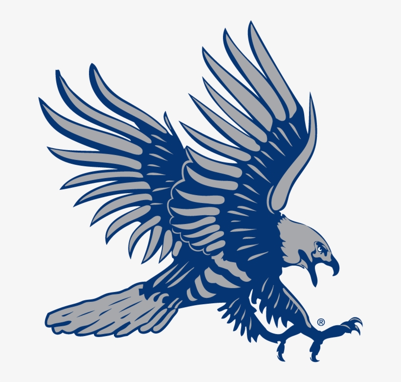 Hawk - Dickinson State University, transparent png download