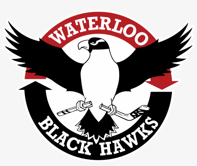 Waterloo Black Hawks, transparent png download