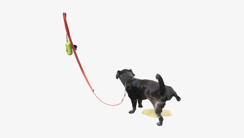 Dog Pee Dogpee Dogs Pet Animal Funny Funnydog Dogsofpic - Dog Png For Picsart, transparent png download